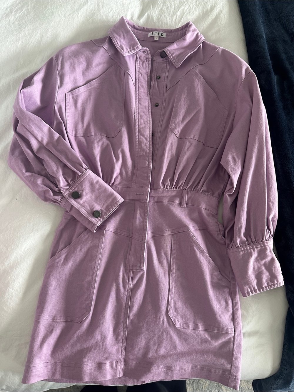 TCEC Lilac Utility Mini Dress